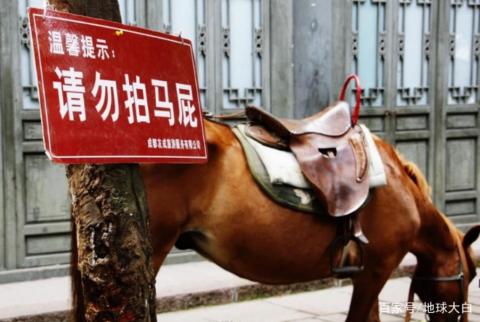 当别人说“kiss-me-quick”，你可不能亲上去，会被打脸的！