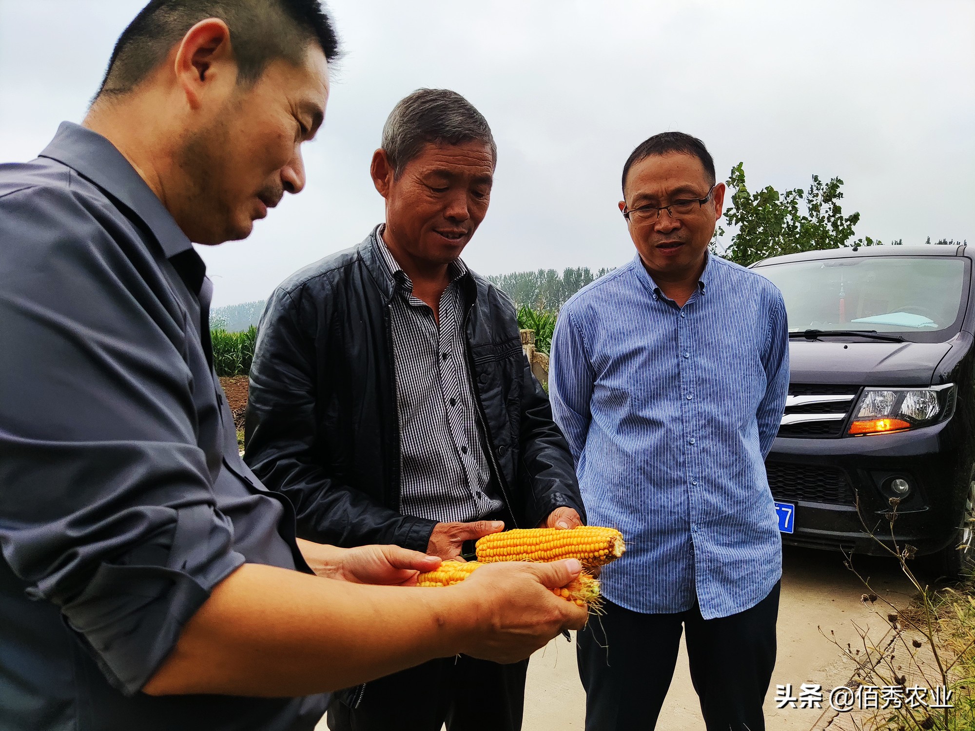 现在农村承包200亩地种玉米能行吗,承包土地种玉米收入咋样