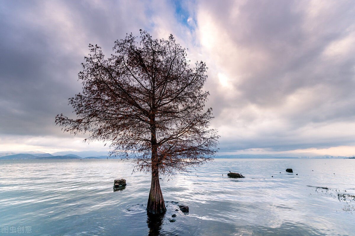 旅游创业月入多少万左右,旅游业怎么创业赚钱