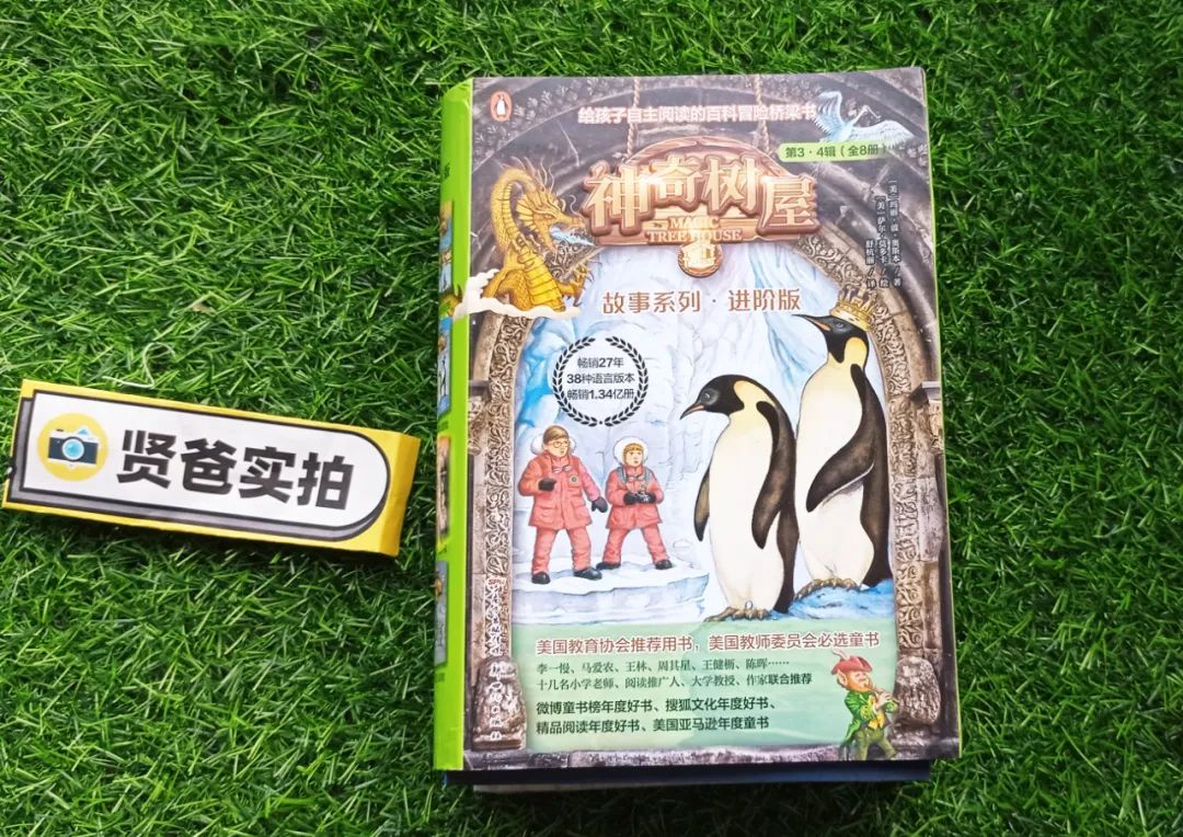 神奇树屋适合多大孩子读,神奇树屋小百科44册