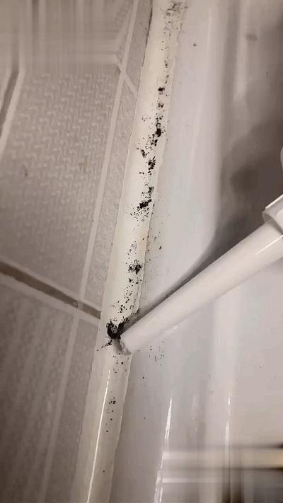 如果你不是勤快人，新房装修注意这10点，将来入住家务活能少一半