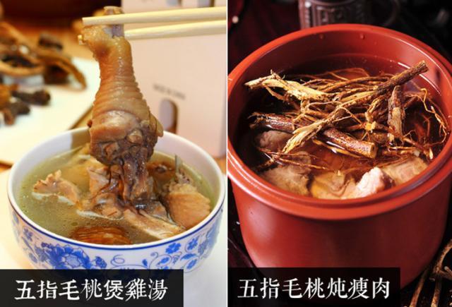 最具有珍稀药用价值的树,山上野生名贵的树