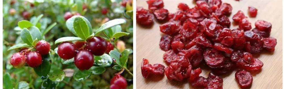 最简单小奶糕怎么做不用淡奶油,全套小奶糕