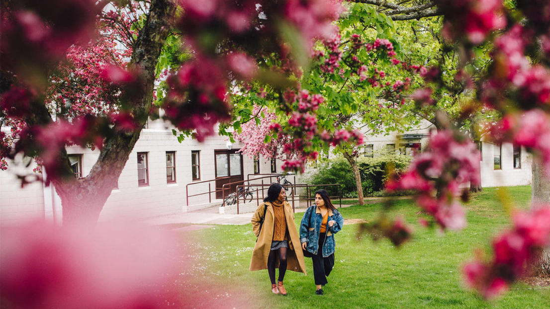 年轻有实力，世界百强+英国TOP10不倒翁，别说华威大学野鸡了