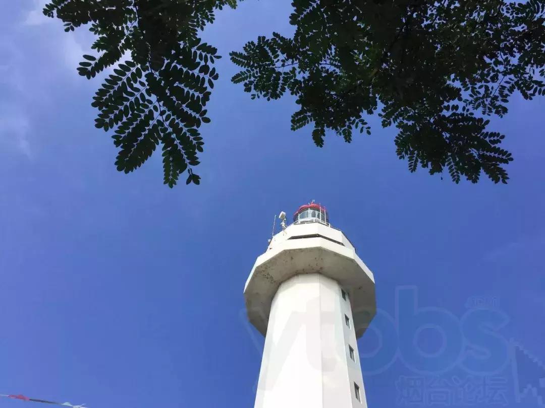 烟台市里人都说自己的街道好！你看对不对！