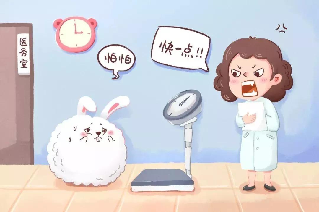 看图写话万能模板步骤,看图写话必考范文图片