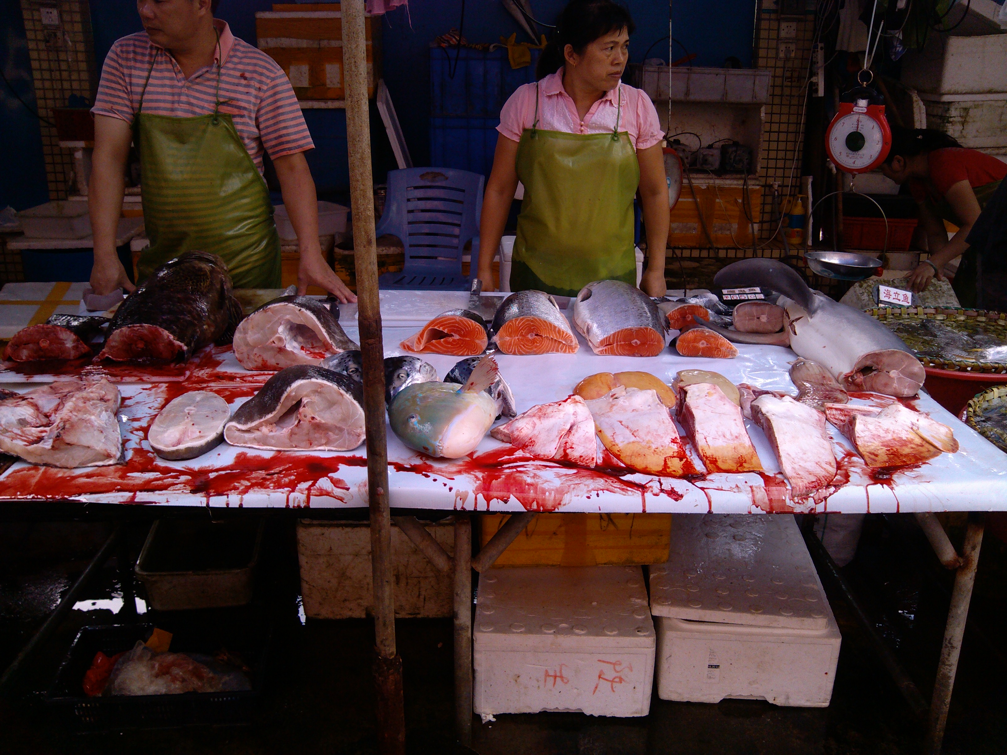 珠海海鲜游,珠海澳门环岛游时间表