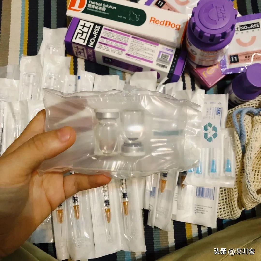 何以解忧唯有撸猫小说免费,金渐层何以解忧唯有撸猫