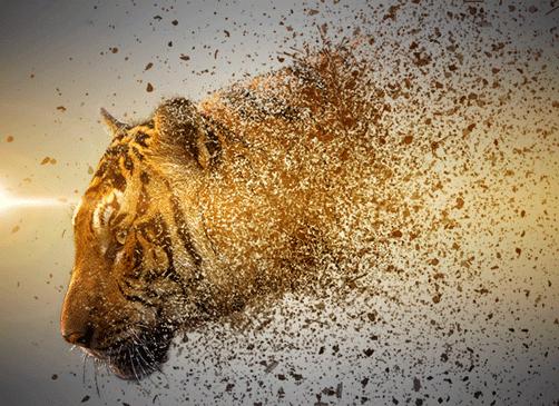 即时设计动效插件,正在流行的5大动态设计神器