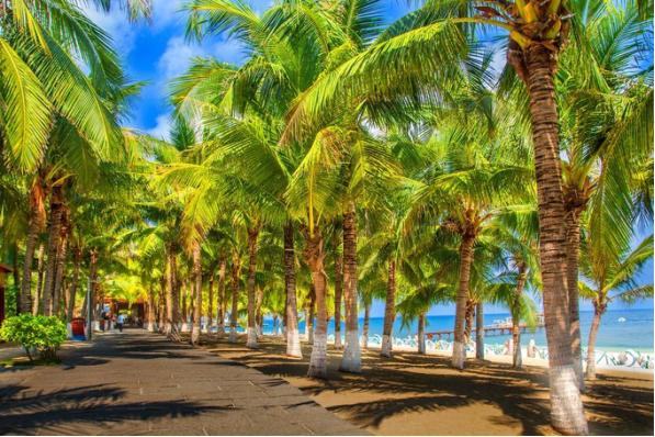 开始美丽的际遇dj版,开始美丽的际遇原唱