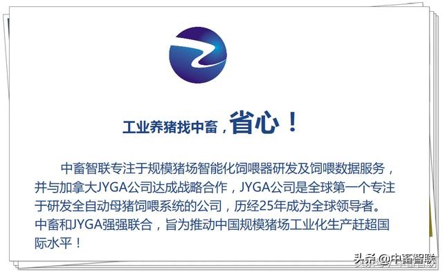 一招教你搞定母猪产后无乳缺乳,母猪无乳有什么表现