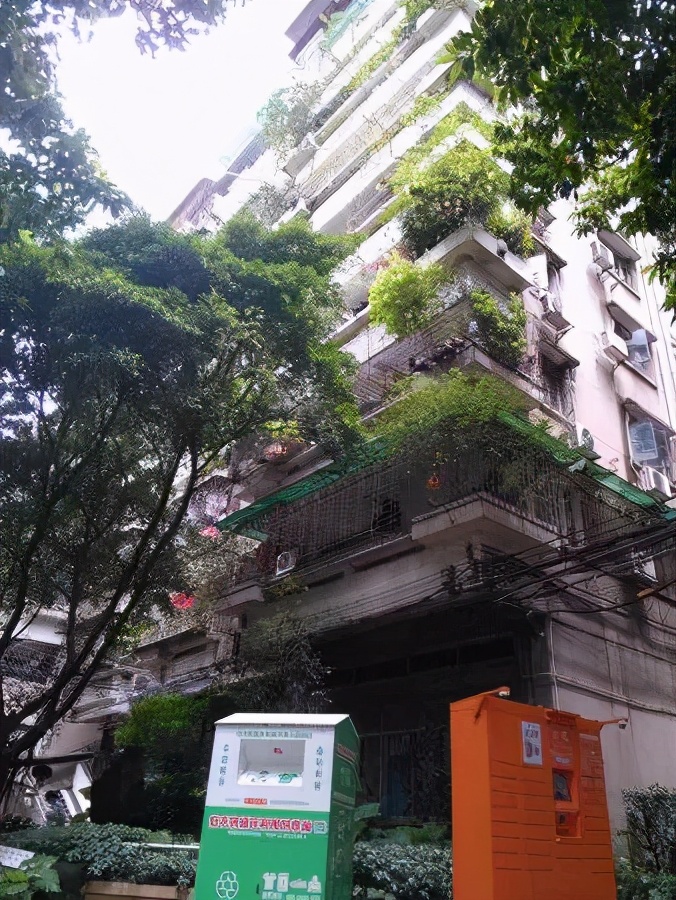 中星小学,广州市越秀区中星小学学位房