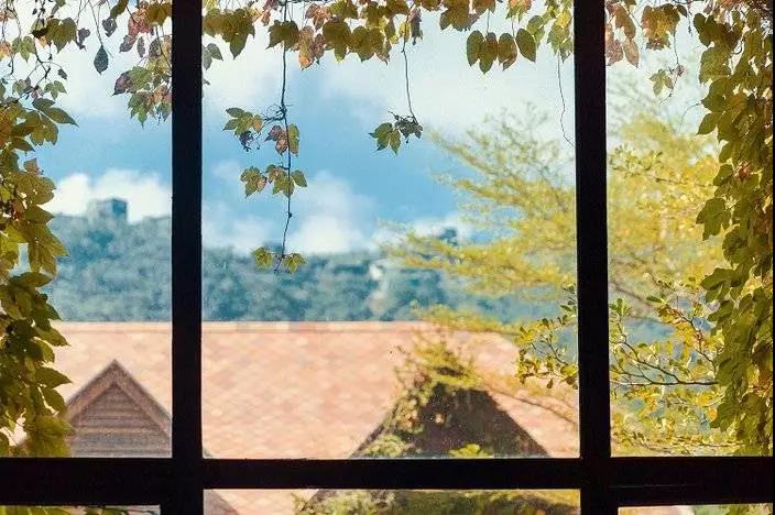 东部华侨城大峡谷瀑布门票特价,东部华侨城大侠谷瀑布