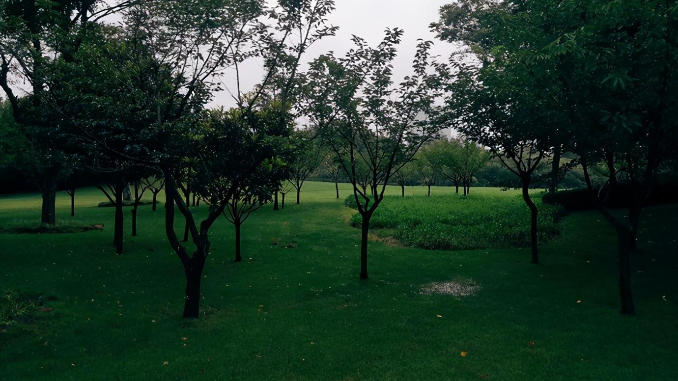 浅谈全国34个省级区域之华东篇：江苏省—宿迁市