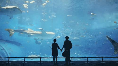 三亚亚龙湾亲子度假酒店推荐,三亚度假酒店推荐