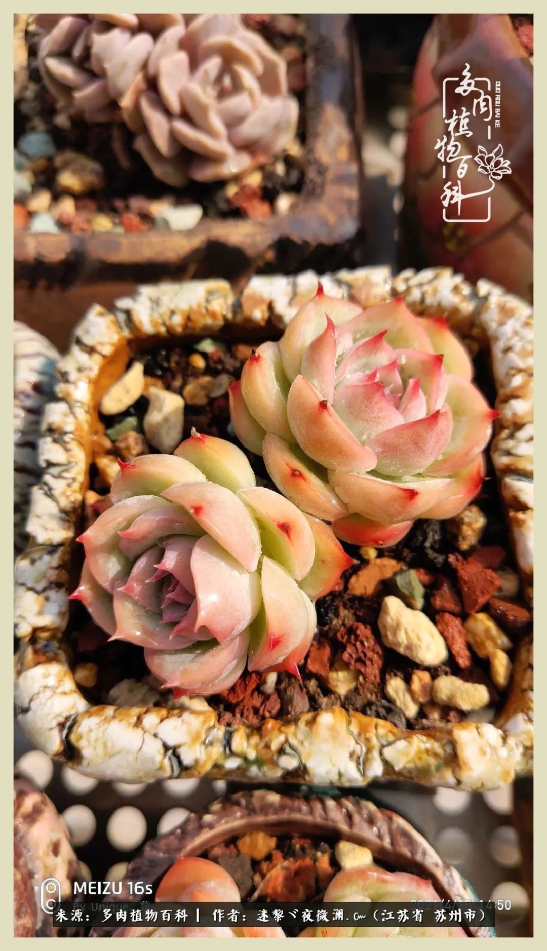 秋尽冬来岁月不居时节如流,岁月不居时节如流水