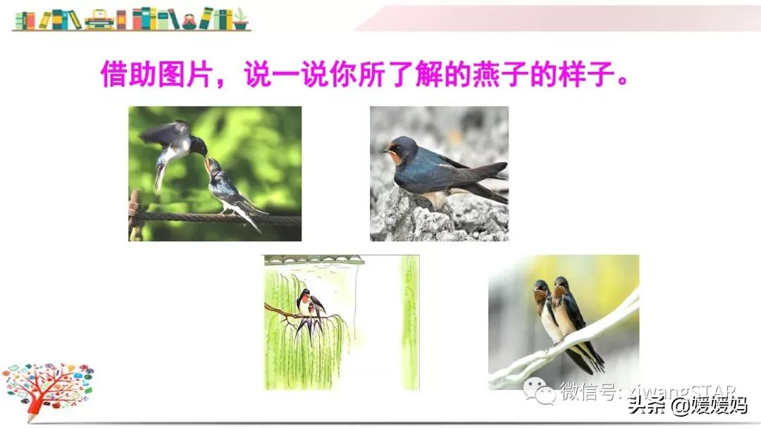 三年级下册燕子1到3自然段背诵,部编教材三年级下册语文2燕子