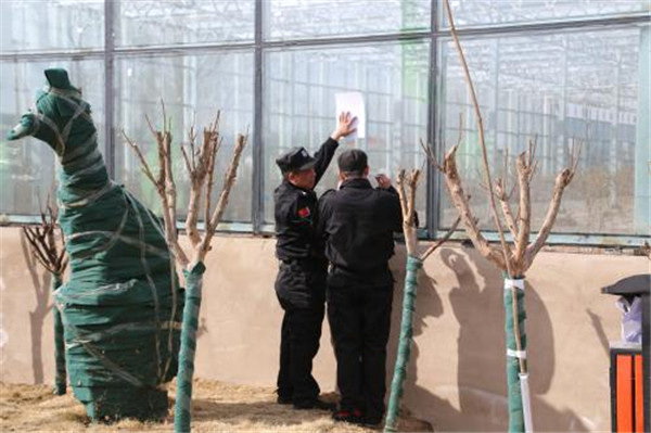 大棚房拆除还有后续情况么,大棚房被拆有补偿吗