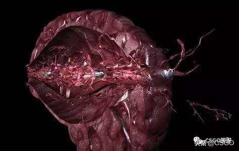 csgo和现实生活中的巧合,csgo与现实对比