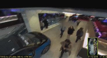 新西兰女孩被杀原因,2010新西兰女留学生被杀