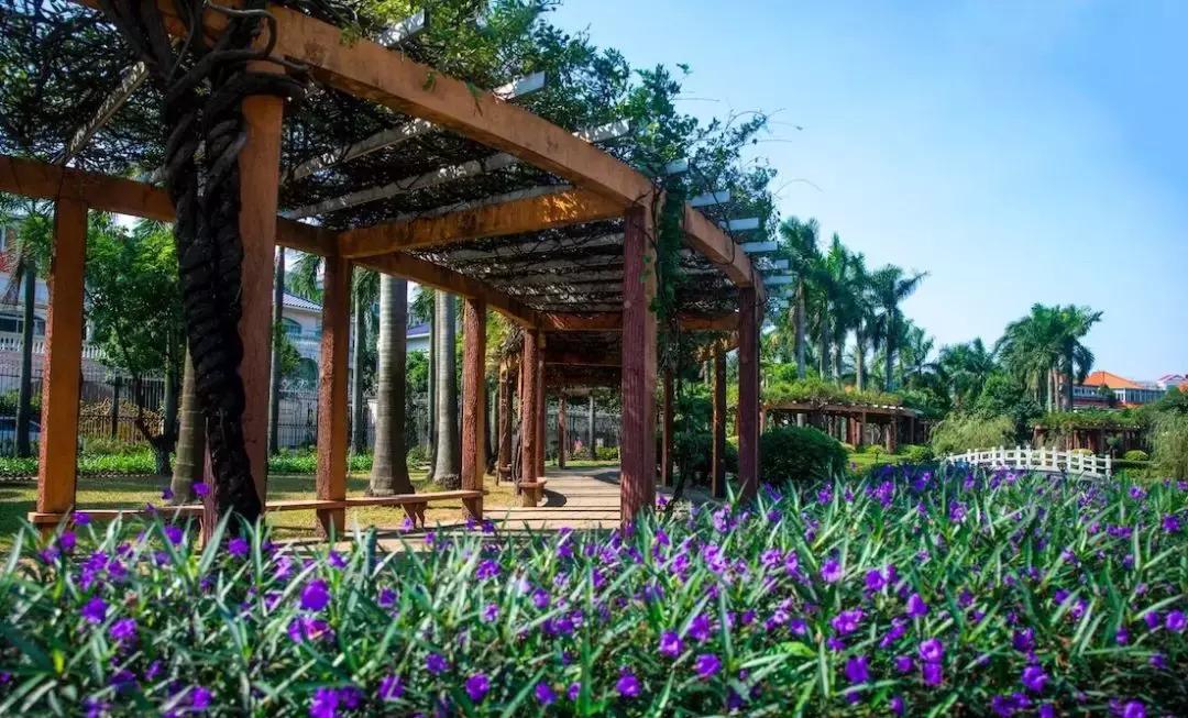 广州人的盛宴，整整20年传奇大盘继推新货！