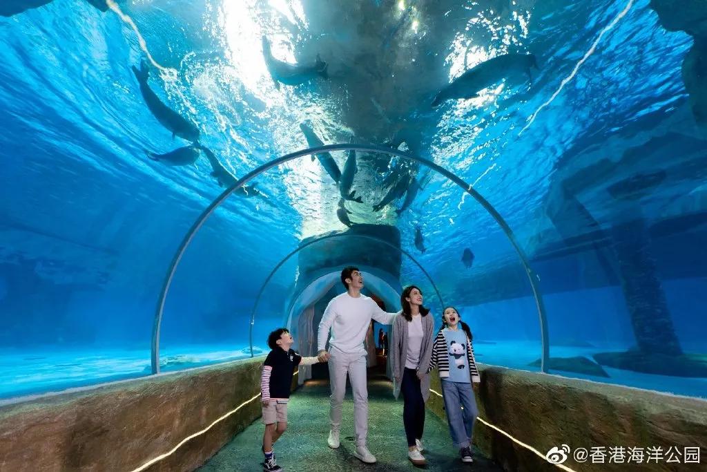 日照海洋公园闭园时间,海昌海洋公园开园闭园时间