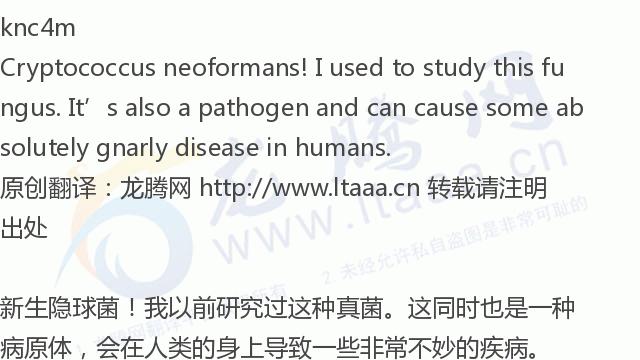 「龙腾网」你知道的最奇怪的冷知识是什么？