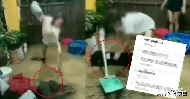 “变性人打狗”泰国热搜?比灾难更可怕的是灾难中现形的人心险恶