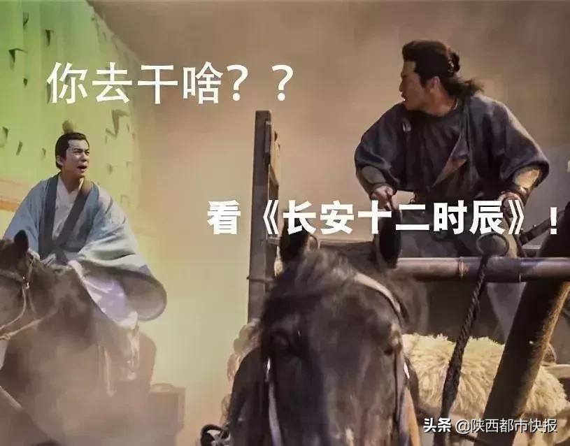 “长安一日”追剧一夏流量长安不如流浪长安