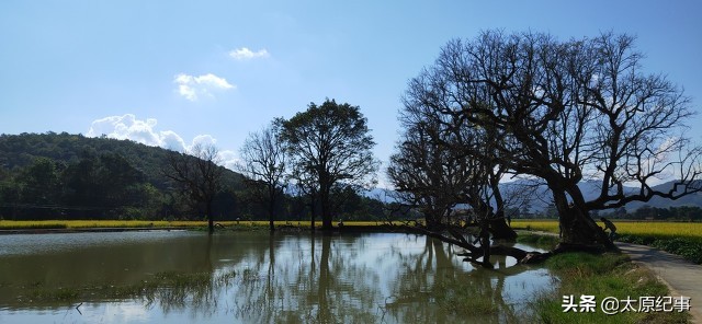 小时候的可怕经历,小时候可怕的回忆