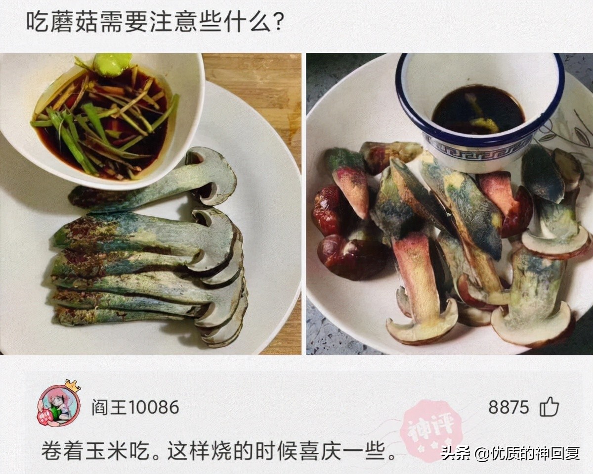 “女友的爸爸让我二选一，看到网友的神评，我果断出击！”哈哈哈