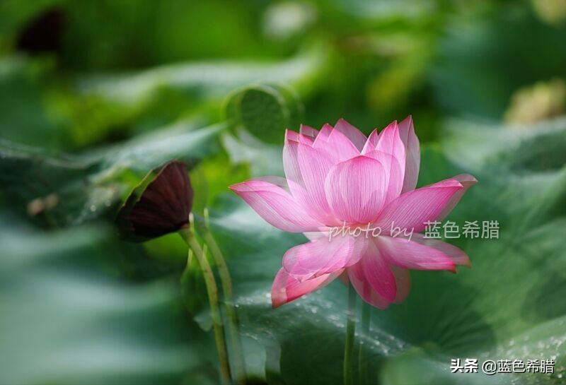 佳能5d3能拍多少数量照片,佳能5d3有多重曝光拍摄技巧