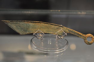 战国七刀币一枚值多少钱,战国时期燕国尖首刀币图片