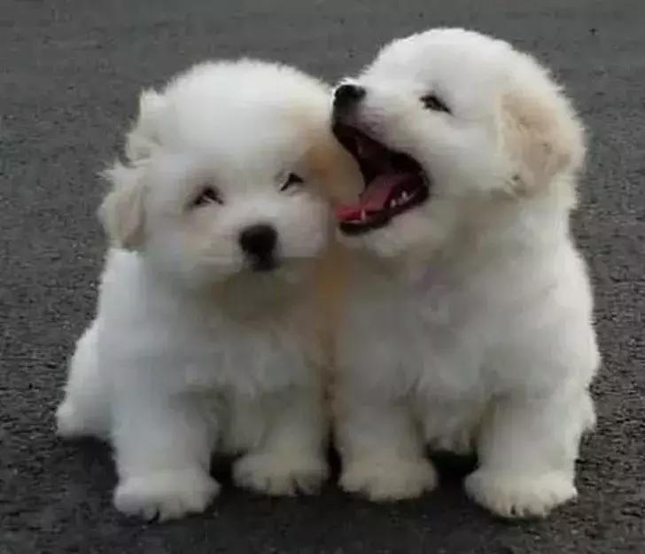 很可爱的萌图,小时候可爱萌萌图