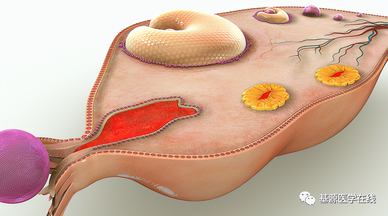 妇科常见的小问题,90%的女性遭受妇科的困扰