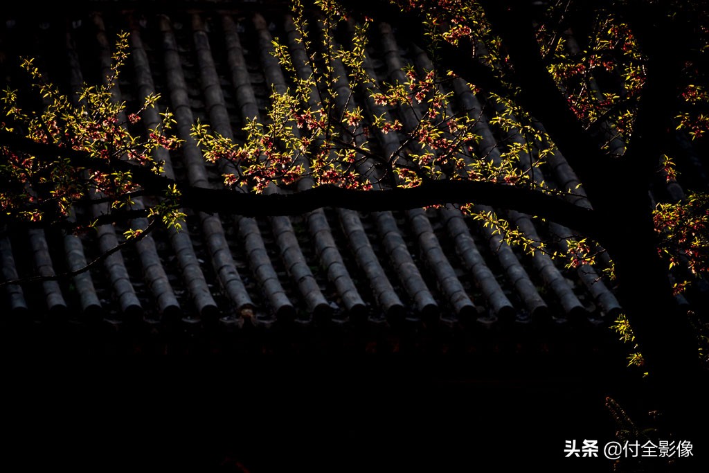 五台山白塔寺后面有什么寺,五台山白塔寺要门票吗