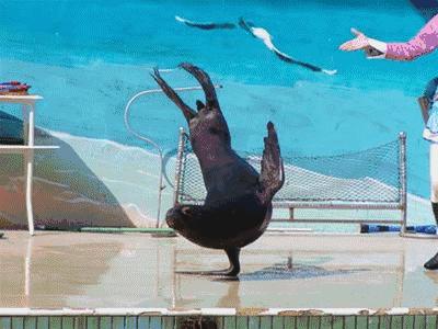 2022年国庆美食游乐嘉年华,国庆美食游乐嘉年华