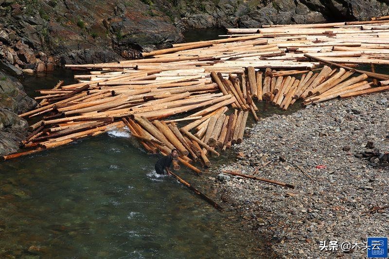 木材可以在水里存放吗,木材放水里需要做什么处理