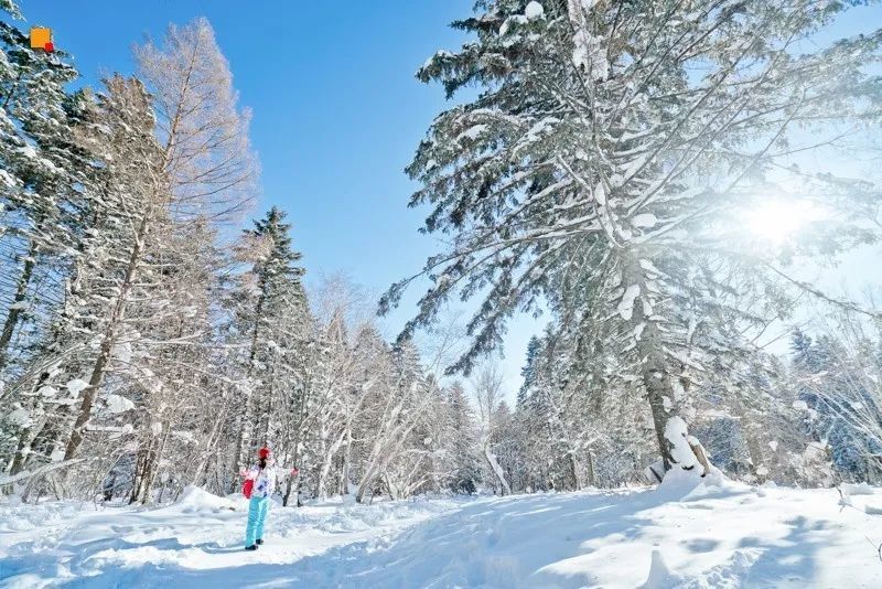 2016雪乡冰雪马拉松暨徒步穿越赛,2019长春全国冰雪徒步大会