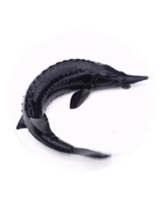 广东有机农业协会,广东省有机农业协会