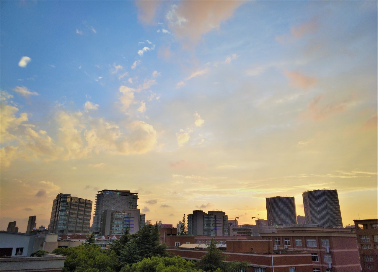 中英对照好文欣赏|不要教你的孩子编程，要教他们学会沟通