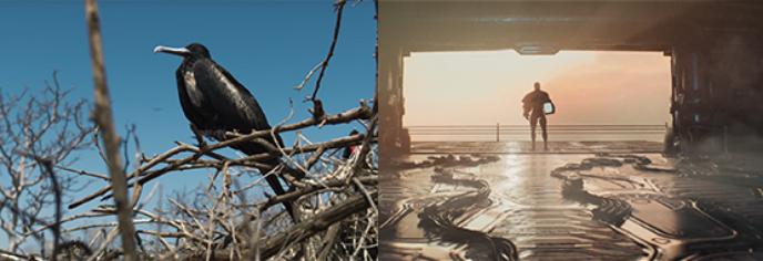 quicktime视频编码器怎么选,quicktime编码器和播放器