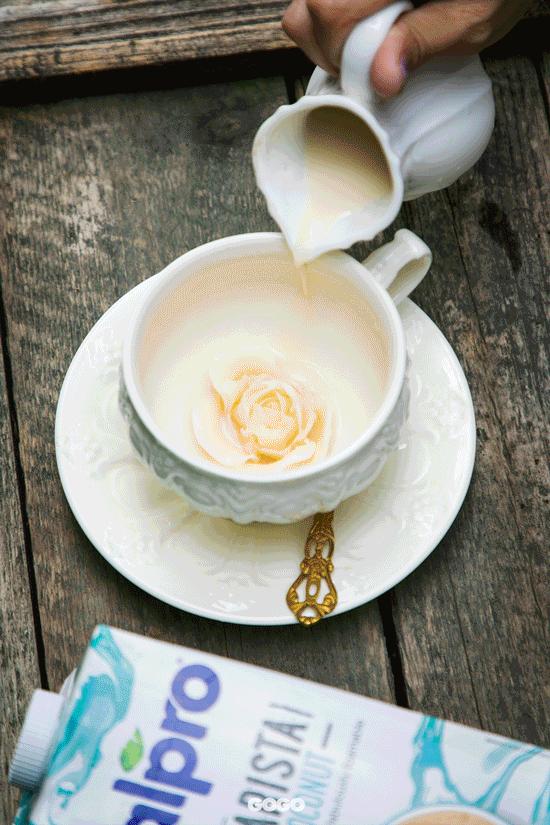 初秋的第一杯咖啡,初秋的第一杯红茶