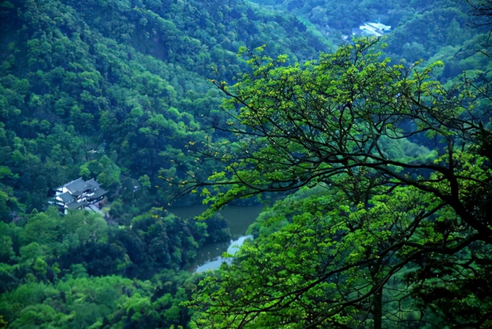 青城山问道去哪个道观,问道青城山好玩吗值得去吗
