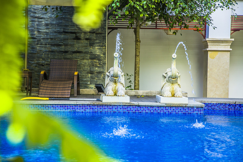 到西双版纳过大年，六日出行超详细吃，住，行攻略