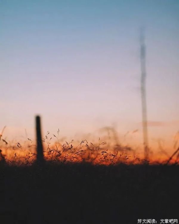 适合发朋友圈的45句人间绝句,人间绝句令人惊艳的诗句是什么