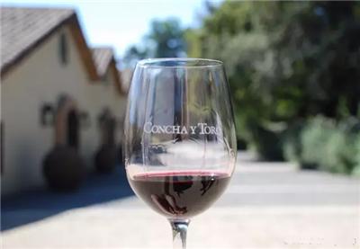 智利葡萄酒哪里买最便宜,一百块买车厘子还是苹果