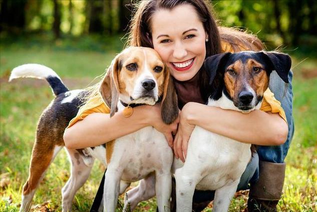 公犬和母狗哪个更好训练,田园犬养母狗好还是公狗好