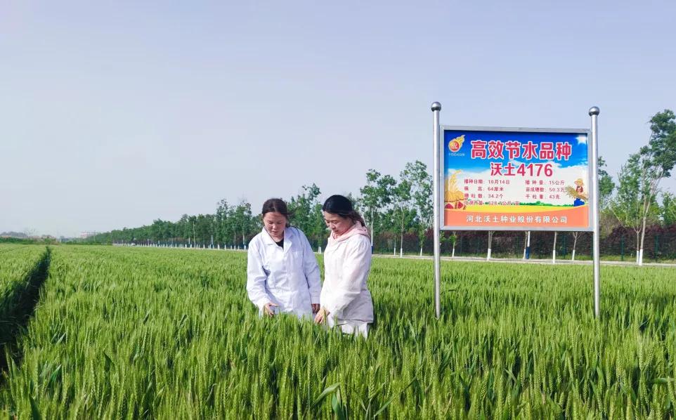 鑲ヤ埂娌冨湡绉嶄笟,鑲ヤ埂娌冨湡绉嶄笟鏈夐檺鍏徃鍦板潃