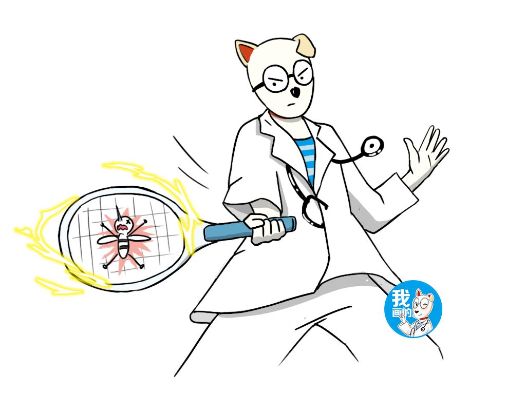 驱蚊对猫咪无危害,对猫咪无害的人用驱蚊产品